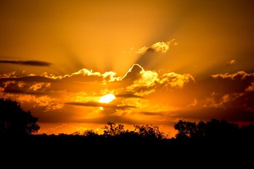 When you can view life as beautiful and unpredictable? Photo c/o MorgueFile